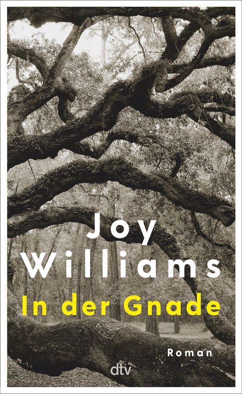 In der Gnade - Joy Williams